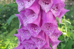 20190706_090432