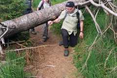 IMG-20190718-WA0007