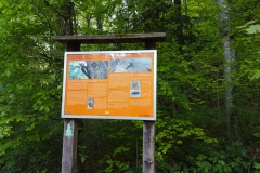 20190515_144454