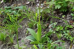 20190515_145139