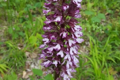 20190515_145540