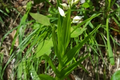 20190515_145959