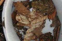 IMG_20210225_142530-scaled