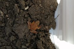IMG_20210225_142642-scaled