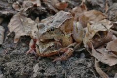 IMG_20210225_152012-scaled