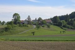 Blick auf Neuburg mit den Hecken