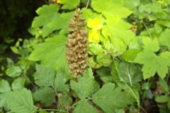 20250515_105550-scaled