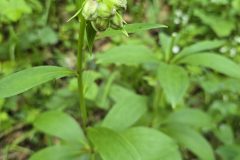 20250515_105751-scaled