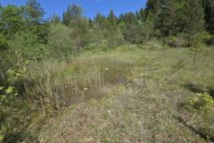 20250515_115637-scaled