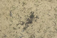20250515_121649-scaled
