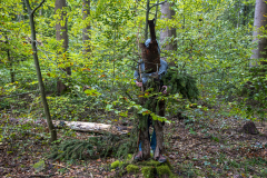23_38_Tarnung-im-Wald-6.10.2021