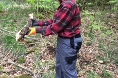 IMG-20190505-WA0004