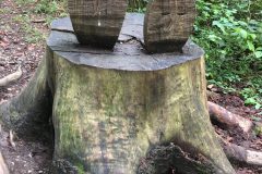 IMG_7994-scaled