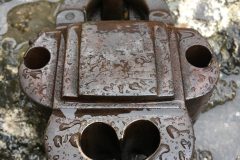 IMG_8073-scaled
