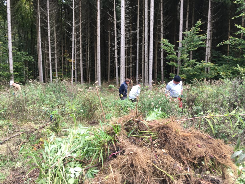 Wintiranger | Nochmals im Hinterwald…